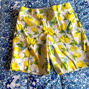 Talbots Perfect Short~10~You Choose